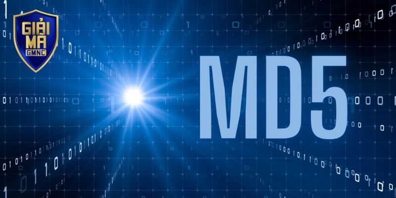 Giải Mã MD5 - Ứng Dụng Của Công Nghệ Trong Giám Sát Kết Quả